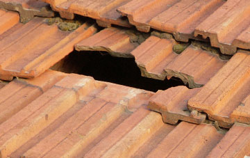 roof repair Lower Daggons, Hampshire